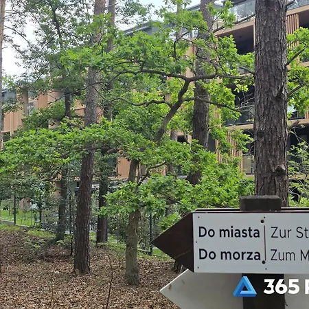 公寓 365pam - Sea & Forest - Basen Kryty I Zewnetrzny, Jacuzzi, Sauna, Garaz W Cenie 米兹多洛杰
